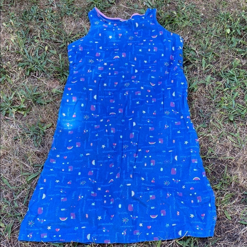 Blue Sleeveless Shift Summer Dress  Medium Picnic Themed Festival July 4th